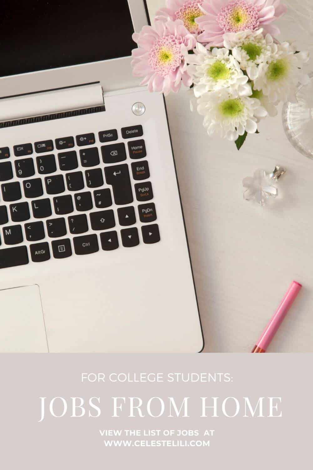 Online Side Jobs for College Students Pin