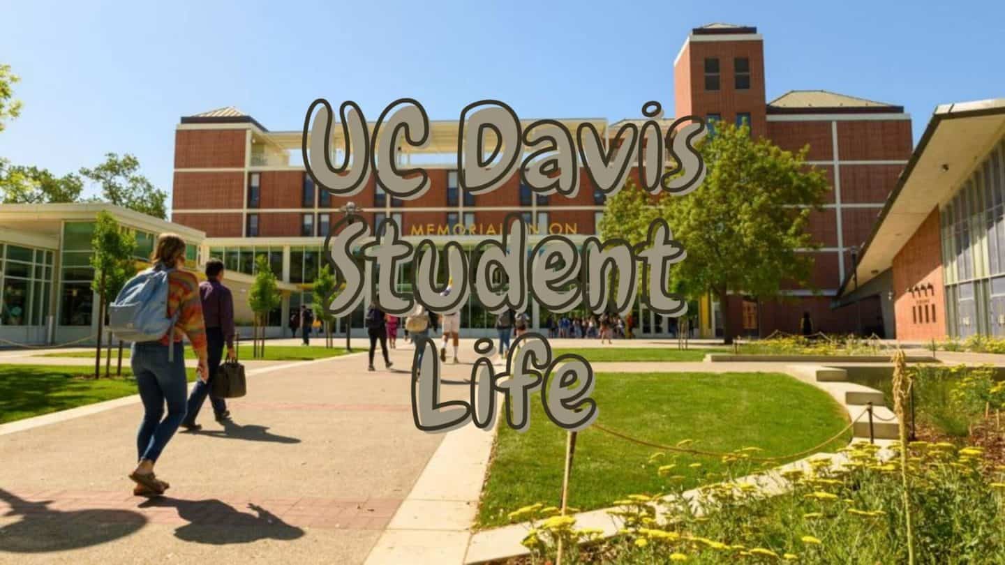 UC Davis Student Life – Honest Review from Current Students